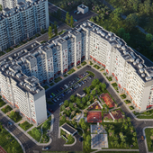 Клюква