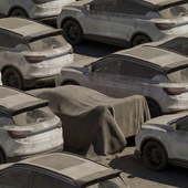 Необычная находка