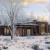 ДОМ В ЗИМНЕМ ЛЕСУ ВИЗУАЛИЗАЦИЯ