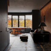 Living room & kitchen in the apartment