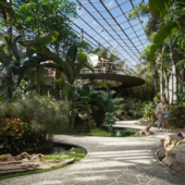 ТРОПИЧЕСКИЙ ОАЗИС В ЦЕНТРЕ ГОРОДА