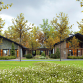Tampuri Autumn leaves home