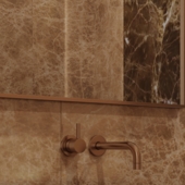 bathroom design