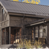 Scandinavian style house