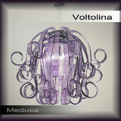 Voltolina / medusa