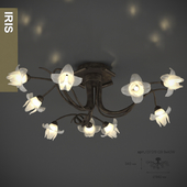 Odeon Light Iris