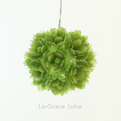 La-Grace Lotus
