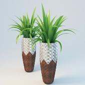 vase "pineapple"
