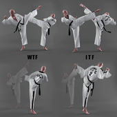 Form of taekwondo