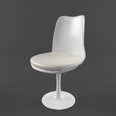 Plastic chair with leather cushion