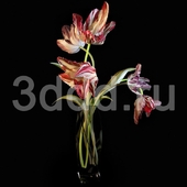 3DDD FLOWERS