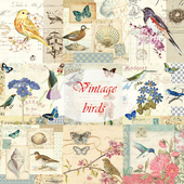 set of vintage birds