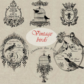 Сборник  винтажных картинок " Птицы"