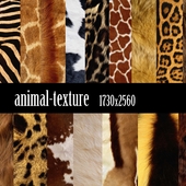 animal-texture