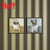 Hoff/Golden and Sweet dog