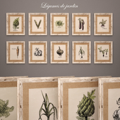 Collection of 10 paintings &quot;Legumes du jardin&quot;