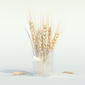 Spikelets of wheat in a vase