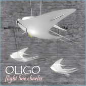 OLIGO flight line Charles
