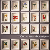 "PROFI" Картины «Botanique».