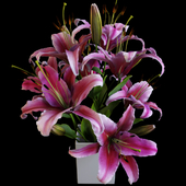 Lily bouquet