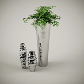 plant vase