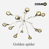 Golden spider