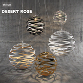 Divisual - Desert rose