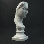 Plaster bust of Venus