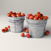 Bucket of Apples