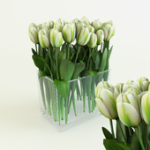 bouquet with tulips