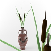 Vase with reeds