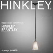 Подвесной светильник Hinkley Brantley 4637TB