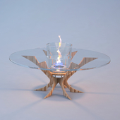 Fireplace (bio) Art Flame