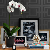 Декоративный набор с орхидеей и арх. журналами