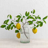 Lemons on branch