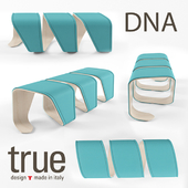 True Design DNA