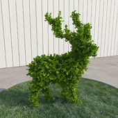 Deer - bush