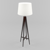 Lamp Arte Lamp Easy A4504PN-1BR