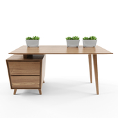 Рабочий стол Wooden Concept