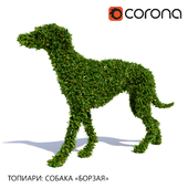 Topiary: Dog &quot;Greyhound&quot;