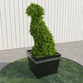Dog - topiary