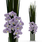 Orchids with grass in glass vase