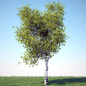 High Poly Tree
