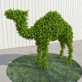 Camel - topiary
