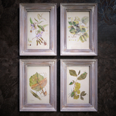 botanica pictures in vintage silver frames