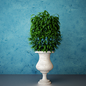 Vase Of Leaves