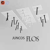 FLOS JUNCOS 3D