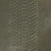 The texture snake skin