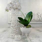 Decorative set with orchids