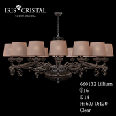 Iris Cristal bohemia 660132 Lillium